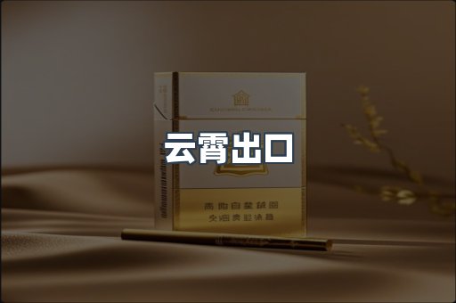 云霄出口